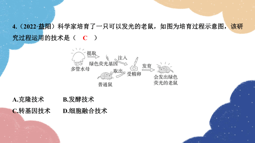 2023年中考生物复习 专题19　生物的遗传与变异习题课件（共17张PPT）