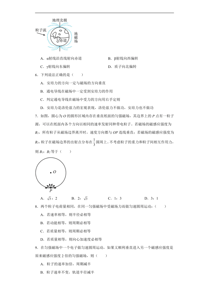 第一章 安培力与洛伦兹力同步练习 2023-2024学年高一下学期人教版（2019）物理选择性必修第二册（含答案）