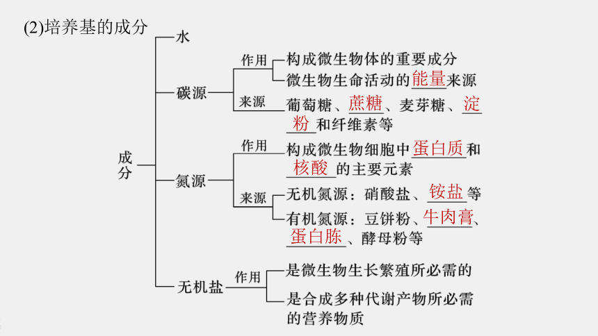 高中生物苏教版（2019）选择性必修3 生物技术与工程 第一章 第一节　发酵工程的培养基（65张PPT）