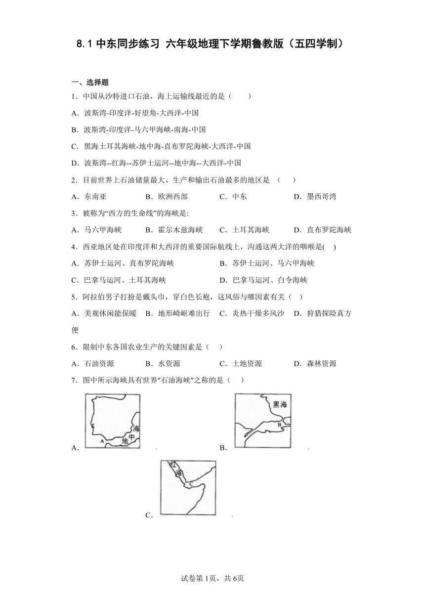 8.1中东同步练习（含答案） 六年级地理下学期鲁教版（五四学制）