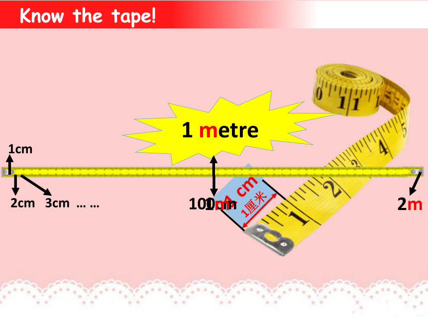 Unit 3 Lesson 14 Are You Short or Tall 课件(共15张PPT)