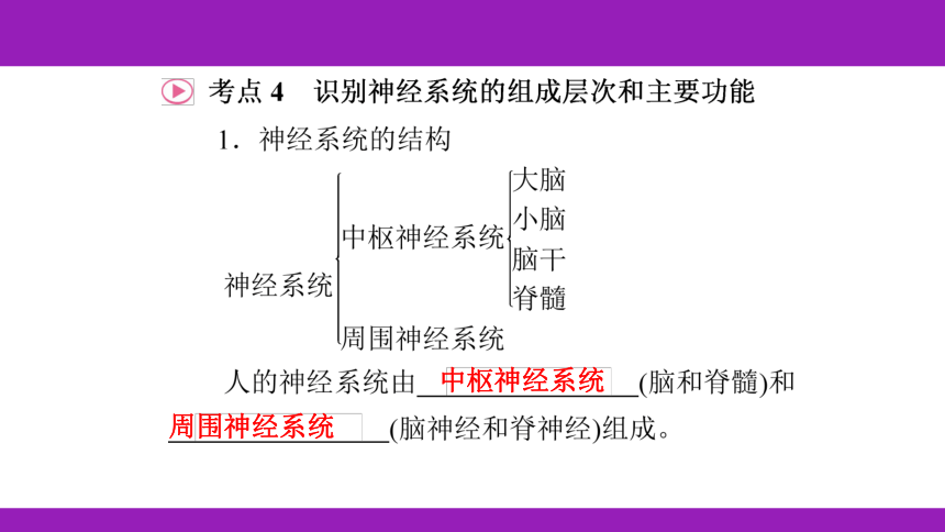 2023浙江中考一轮复习 第8课时 生命活动的调节（课件 70张ppt）