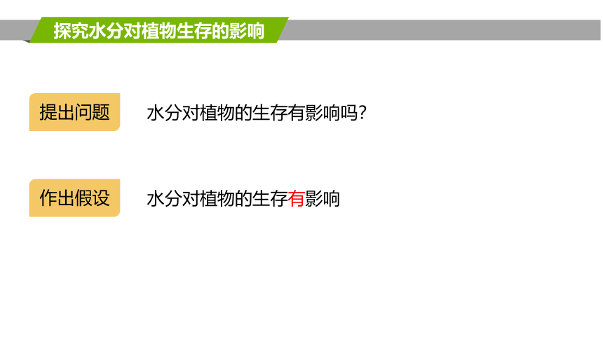 2.2.2  环境影响生物的生存  课件(共22张PPT)2022-2023学年苏科版生物七年级上册