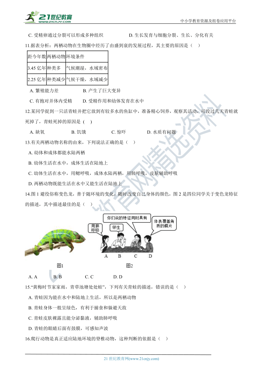 生物人教八上 5.1.5两栖动物与爬行动物 同步练习（含答案）