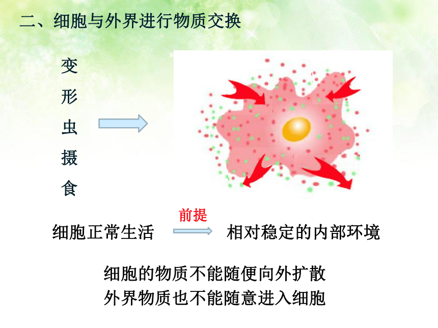 2.3.2细胞是生命活动的单位1北师大版七年级上册生物课件（共16张PPT）