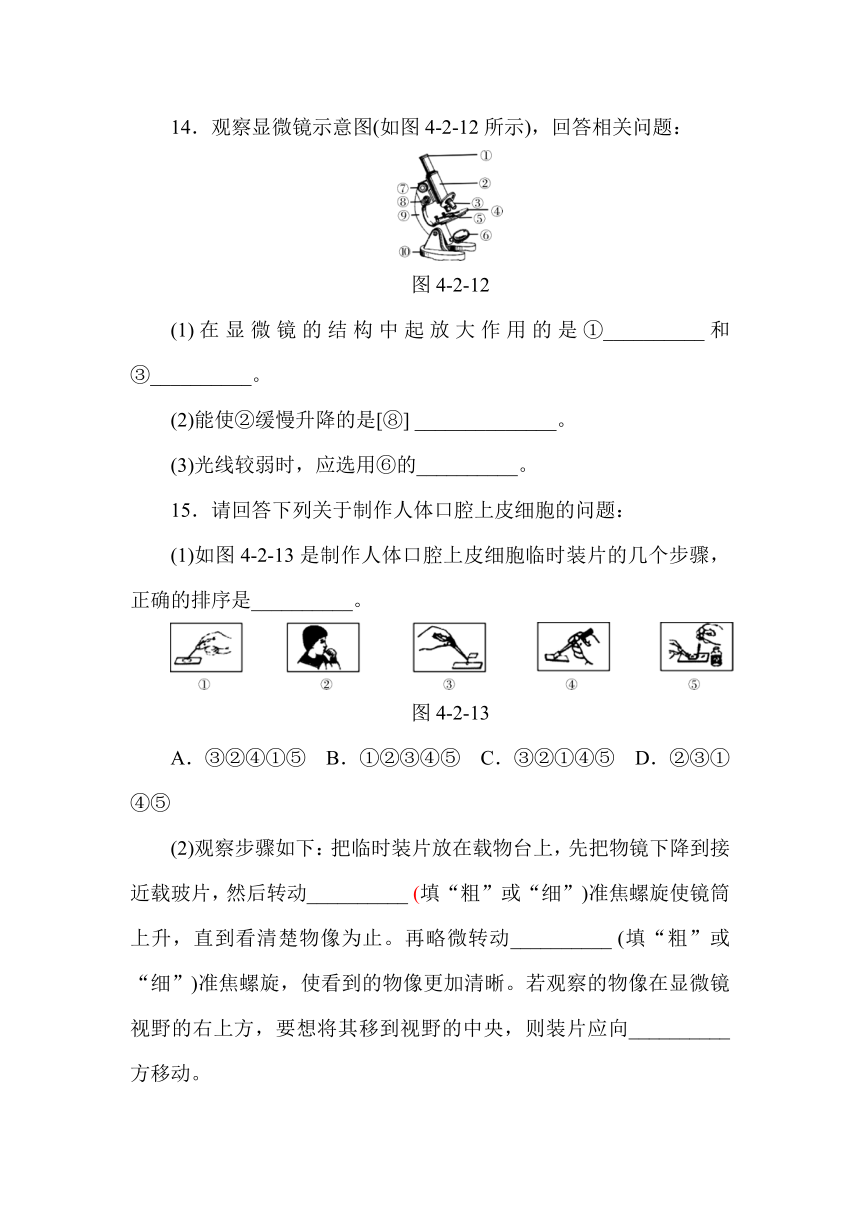 华东师大版科学 七年级上册 阶段性训练一(制临时装片)（含答案）