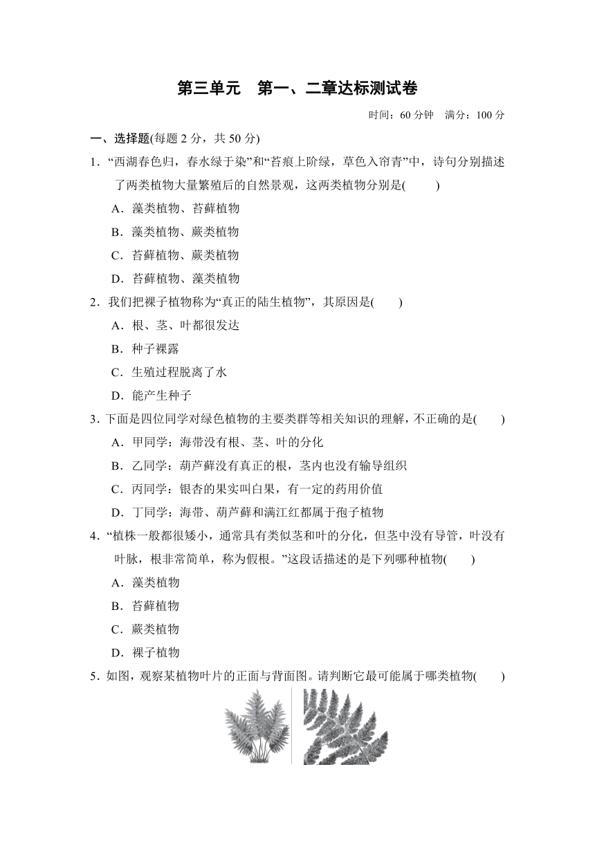 2020年秋人教版七年级上册生物第三单元生物圈中的绿色植物（第一、二章）单元检测 (word版 带答案)