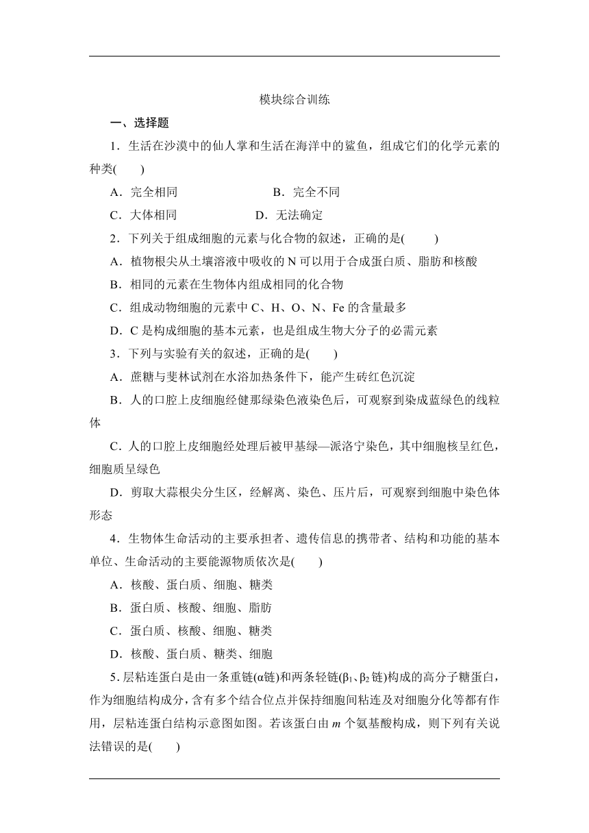 2021-2022学年高一上学期生物苏教版（2019）必修1模块训练（word版含解析）