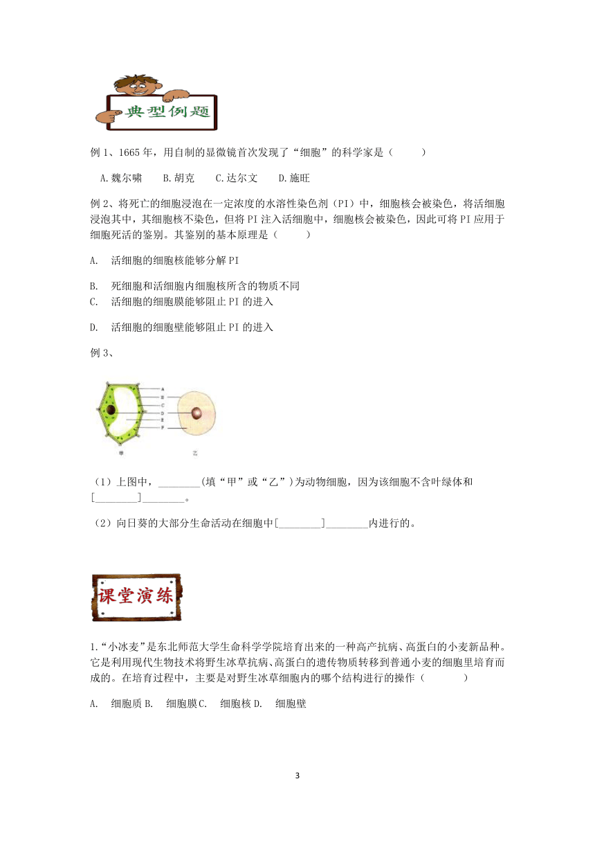 浙教版科学2022-2023学年上学期七年级“冲刺重高”讲义（七）：细胞（1）【word，含解析】