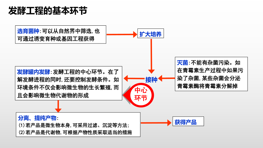 2020-2021学年人教版（2019）高二生物选择性必修三1.3 发酵工程及其应用 课件 （共32张ppt）