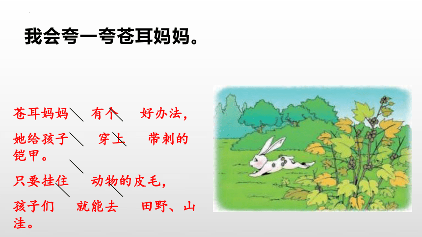 3 植物妈妈有办法 课件(共14张PPT)