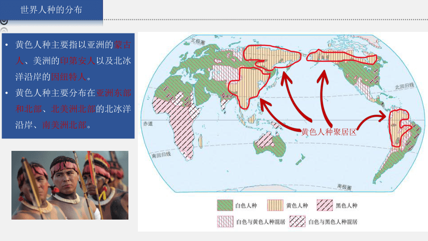 【推荐】湘教版地理七上 3.2 世界的人种 课件（19张ppt 内含嵌入式视频)