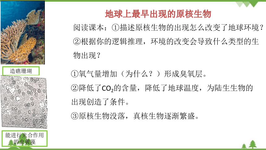 高中生物浙科版（2019）必修一2.6原核细胞内无成形的细胞核课件（1）(共15张PPT)