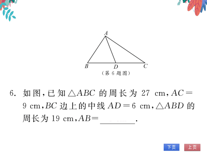 11.1.2三角形的高、中线与角平分线11.1.3三角形的稳定性　习题课件