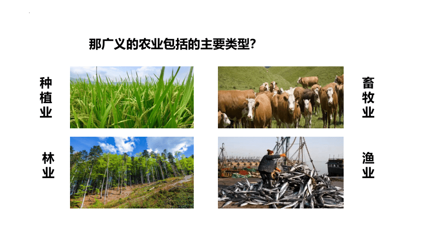 4.1   农业第一课时 让土地奉献的产业——中国农业的发展 课件(共42张PPT内嵌视频)2022-2023学年湘教版地理八年级上册