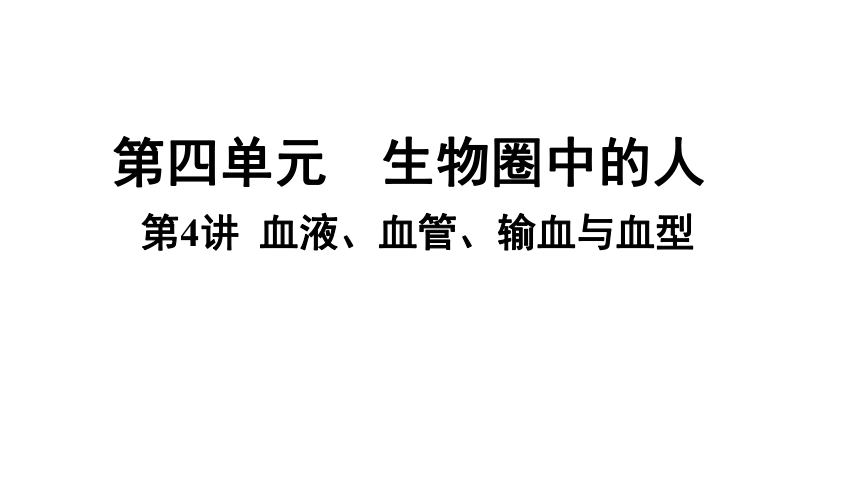 4.4 血液、血管、输血和血型复习课件(共26张PPT)