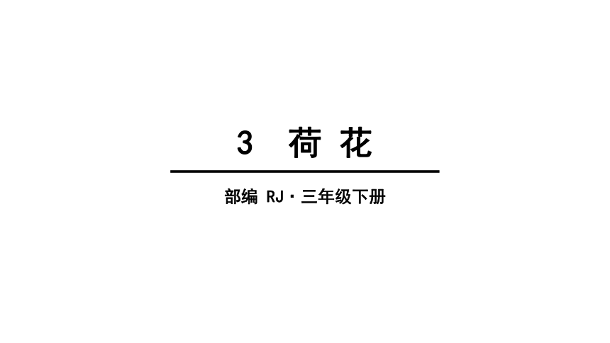 3 荷花   课件（59张PPT)