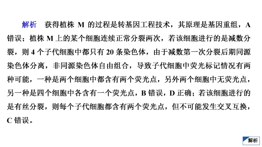 高考生物复习用卷：综合专项集训 遗传与进化（共65张PPT）