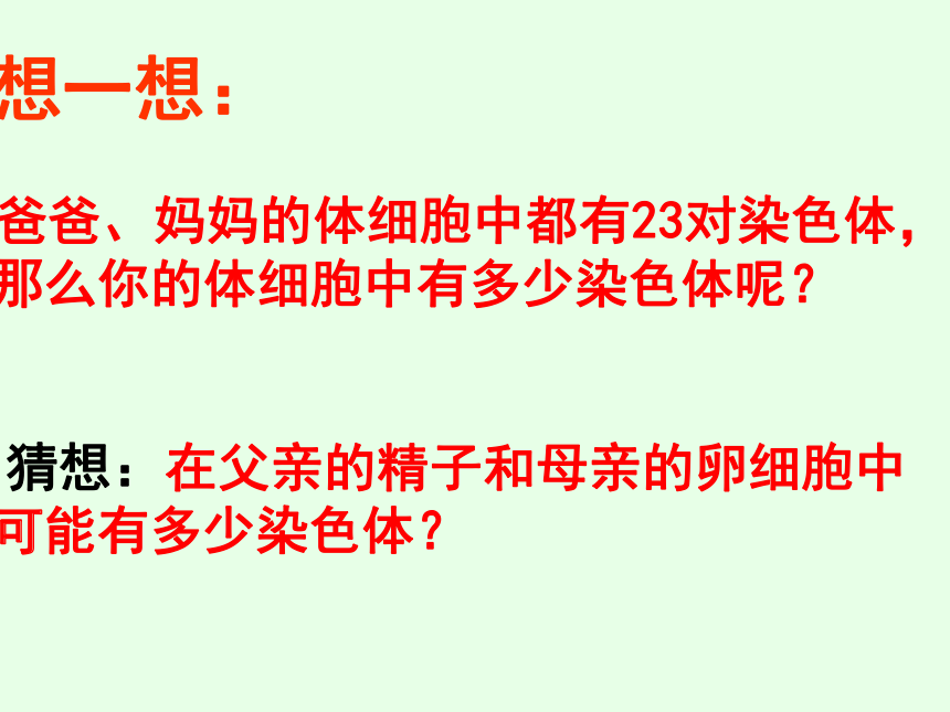 4.4.3人类染色体与性别决定 课件-（共40张PPT）