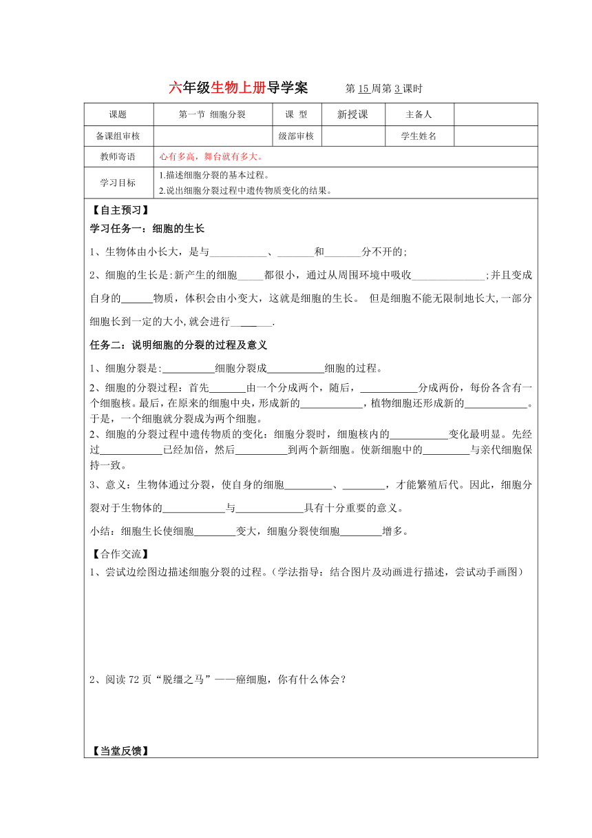 第一节 细胞分裂导学案  （无答案）2022-2023学年六年级上册生物