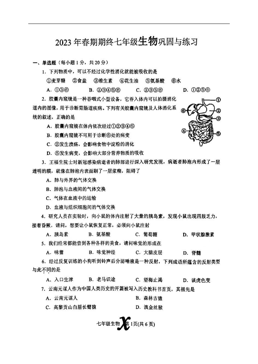河南省南阳市内乡县2022-2023学年七年级下学期6月期末生物试题（PDF版无答案）