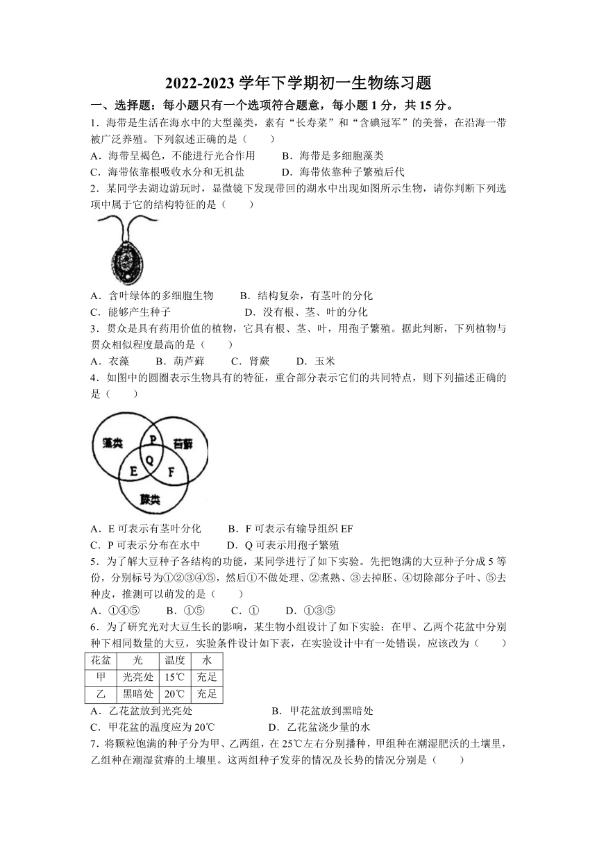 山东省泰安市高新区2022-2023学年六年级下学期期中生物试题（含答案）