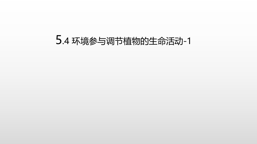 2021—2022学年高中生物人教版（2019）选择性必修一5.4 环境参与调节植物的生命活动课件（29张ppt）