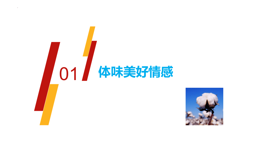 5.2 在品味情感中成长 课件(共23张PPT)+内嵌视频- 统编版道德与法治七年级下册