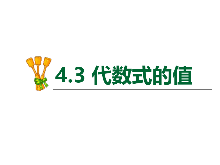 浙教版初中数学七年级上册 4.3 代数式的值  课件（14张）