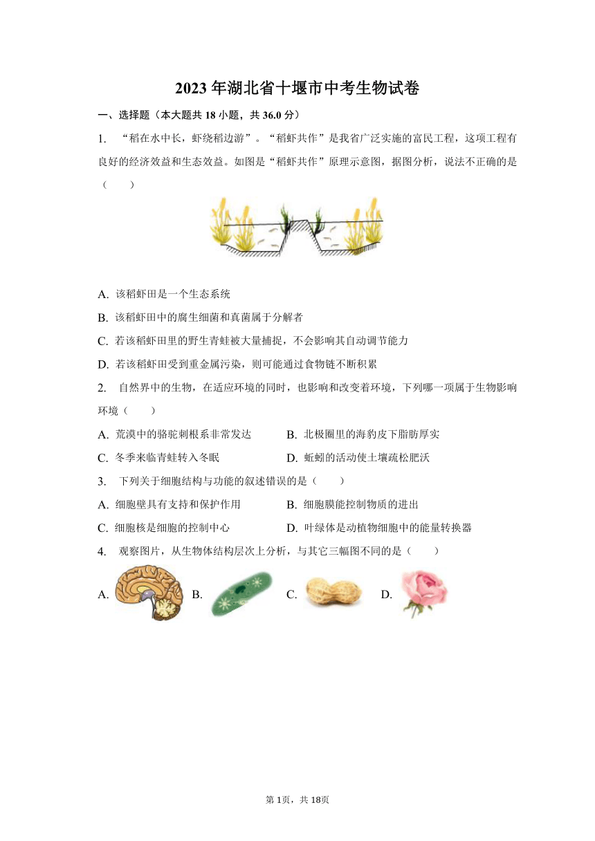 2023年湖北省十堰市中考生物真题试卷（含解析）