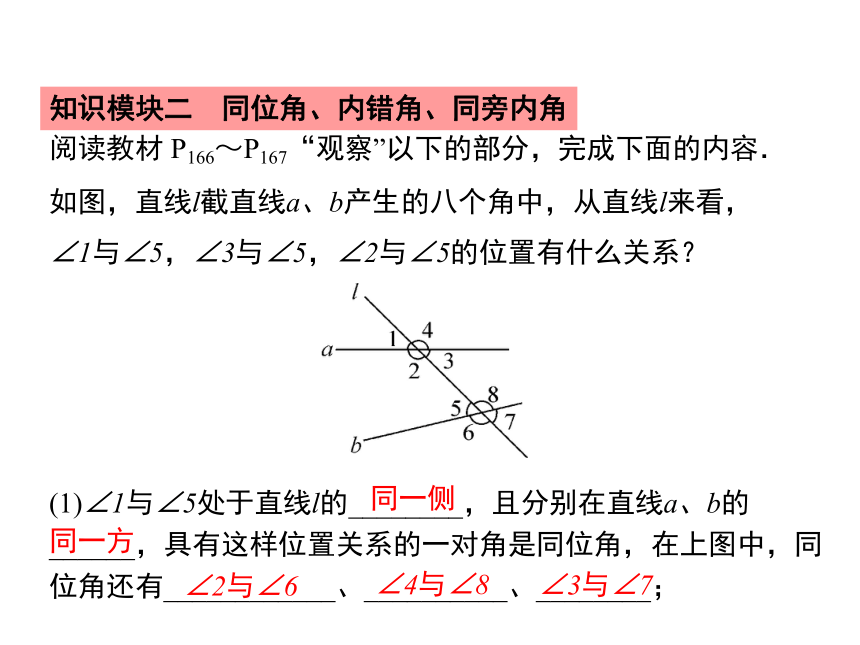 华东师大版2020年数学七年级上册第5章《5.1.3  同位角、内错角、同旁内角》课件（共25张PPT）