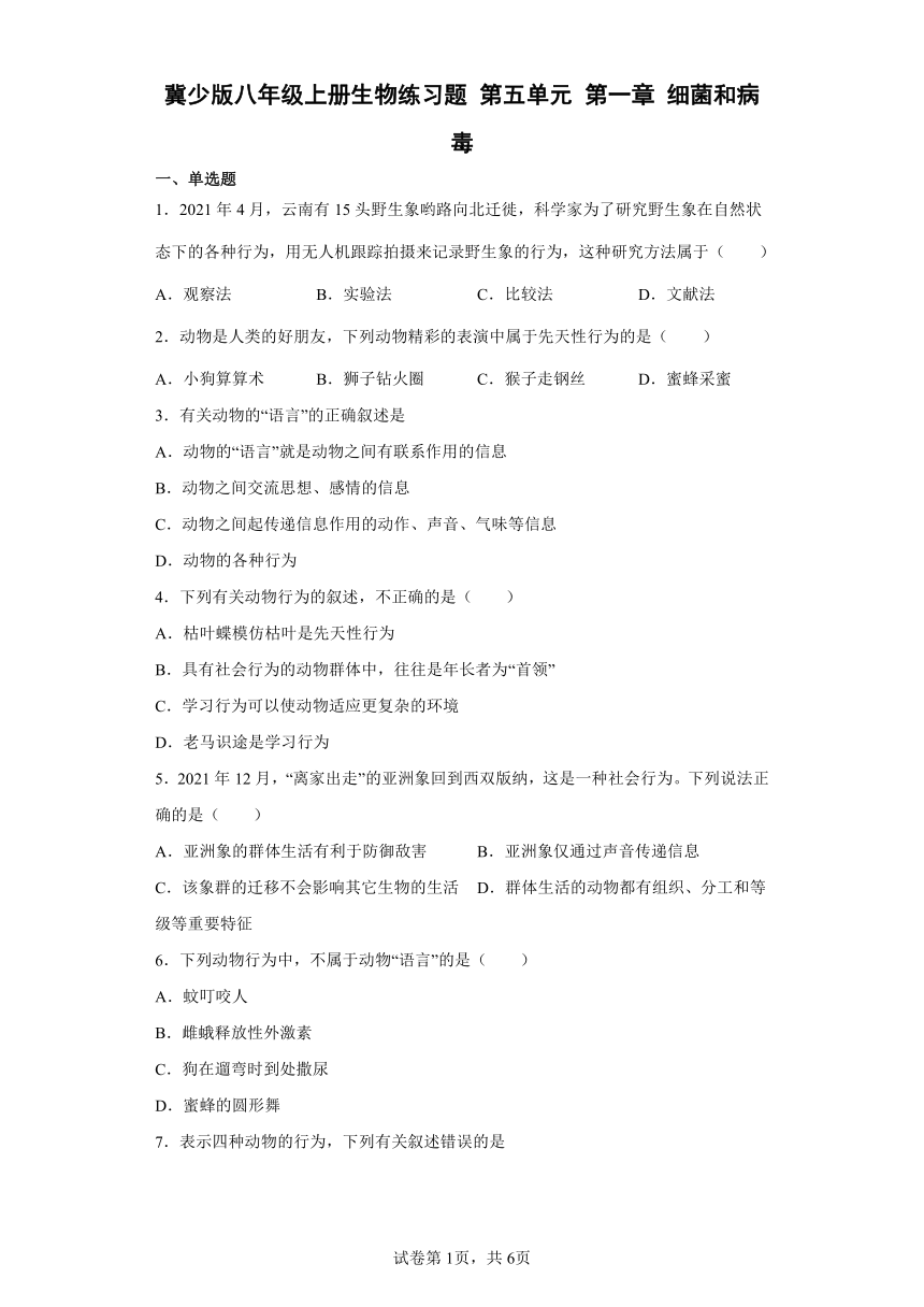 冀少版八年级上册生物练习题 第五单元 第一章 细菌和病毒（word版 含答案）