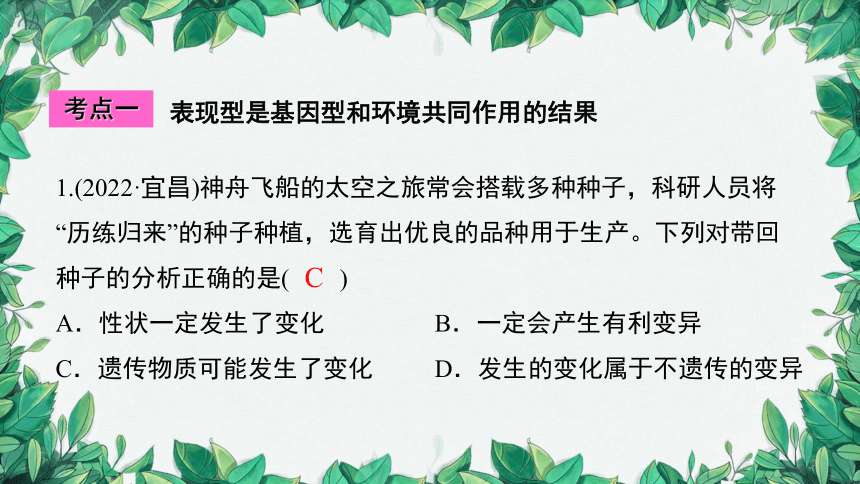 2023年中考生物复习 课题五 遗传变异与遗传病课件(共31张PPT)