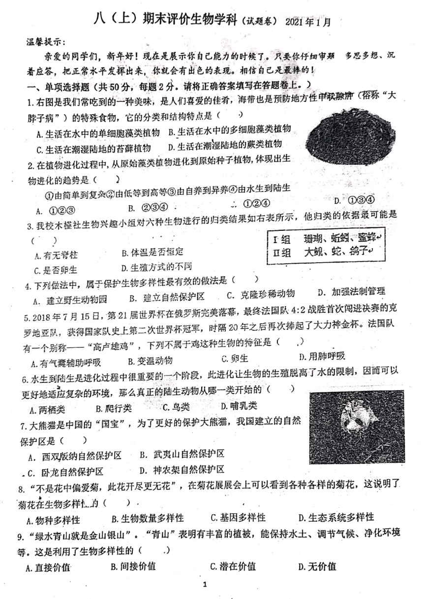 安徽省合肥市寿春中学2020-2021学年上学期期末评价八年级生物试卷（PDF版无答案）