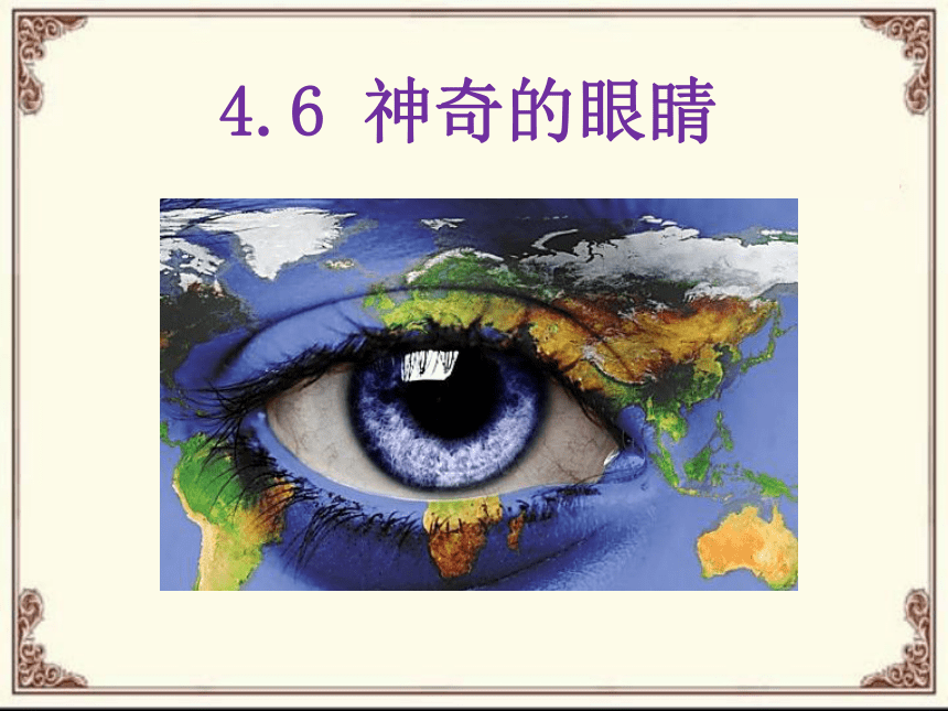 教科版八年级物理上册 4.6 神奇的眼睛 课件(共 20张PPT)