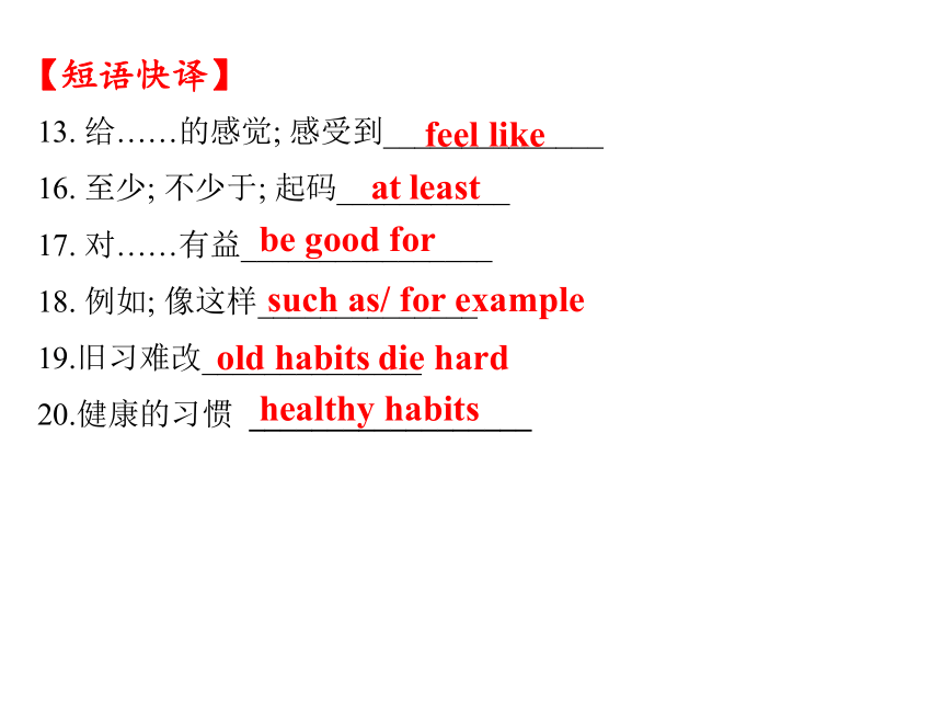 第六课时 七年级上Units(4-6)教材精讲精练课件—鲁教版中考英语一轮复习