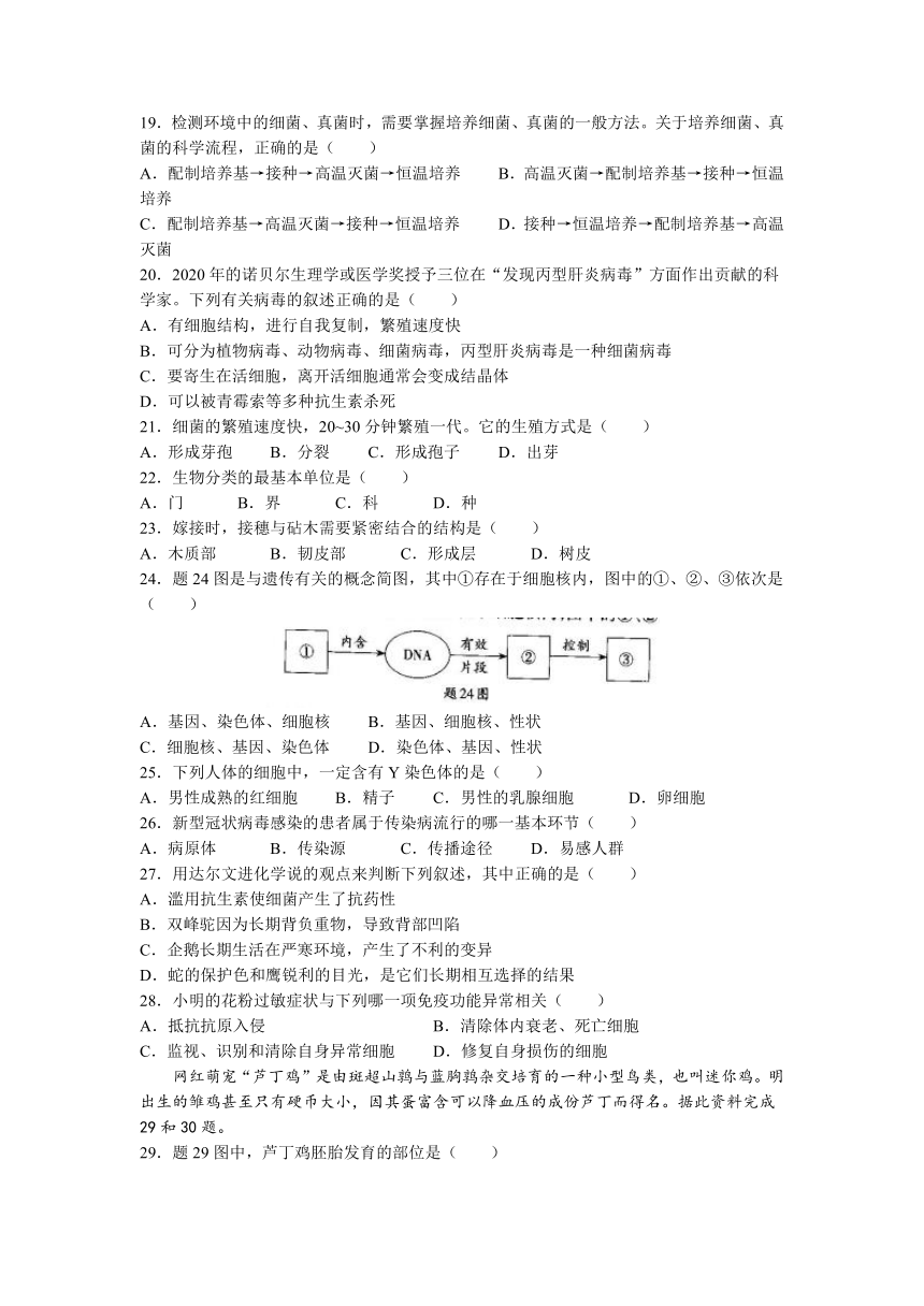 2023年广东省肇庆市怀集县中考二模生物试题（含答案）