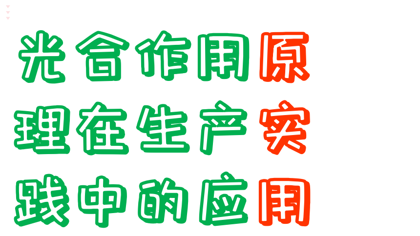 3.6.5  光合作用和呼吸作用原理的应用课件(共22张PPT)2023-2024学年初中生物苏教版七年级上册