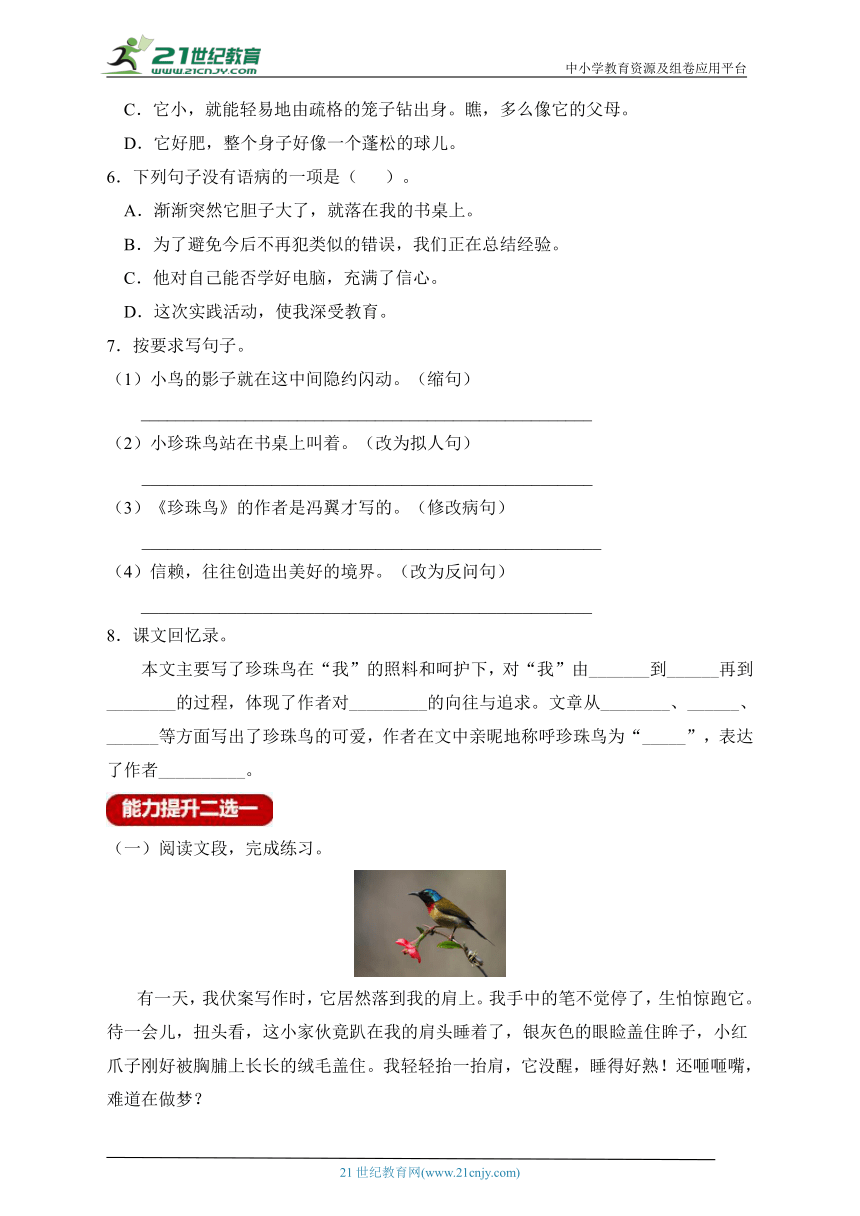 新课标分层作业设计-4.珍珠鸟（含答案）