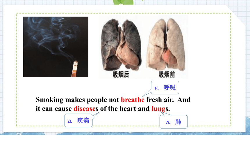 Unit 1 Lesson 4 Don’t Smoke, Please课件(共26张PPT)
