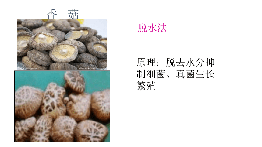 5.4.5 人类对细菌和真菌的利用课件（含58张ppt）