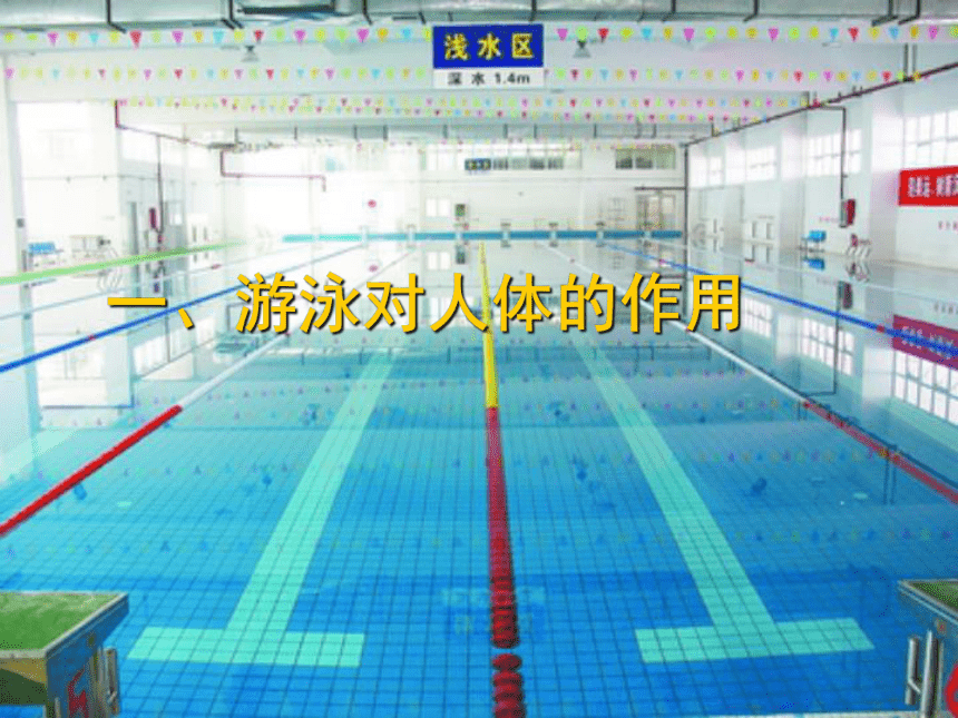 人教版七年级体育 9游泳的常识与安全  课件（24ppt）