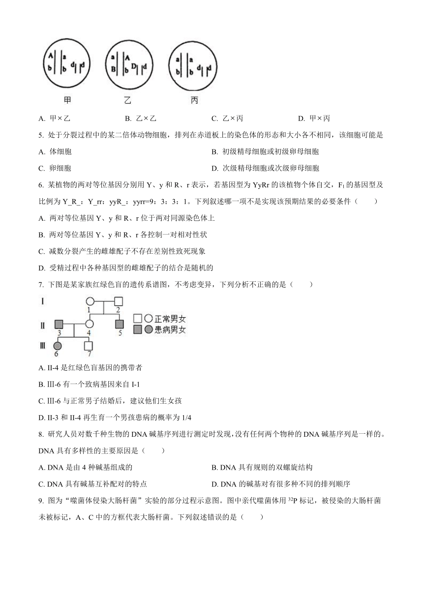 广东省佛山市南海区2020-2021学年高一下学期期末考试（南海统考）生物试题 Word版含答案