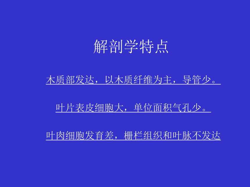 1.2 果树的生命周期和年生长周期   课件(共17张PPT) - 《果树栽培学（第4版）》同步教学（中国农业出版社）