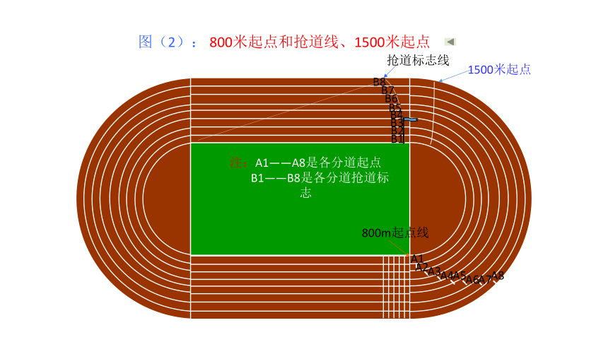 初中体育 田径竞赛规则 课件