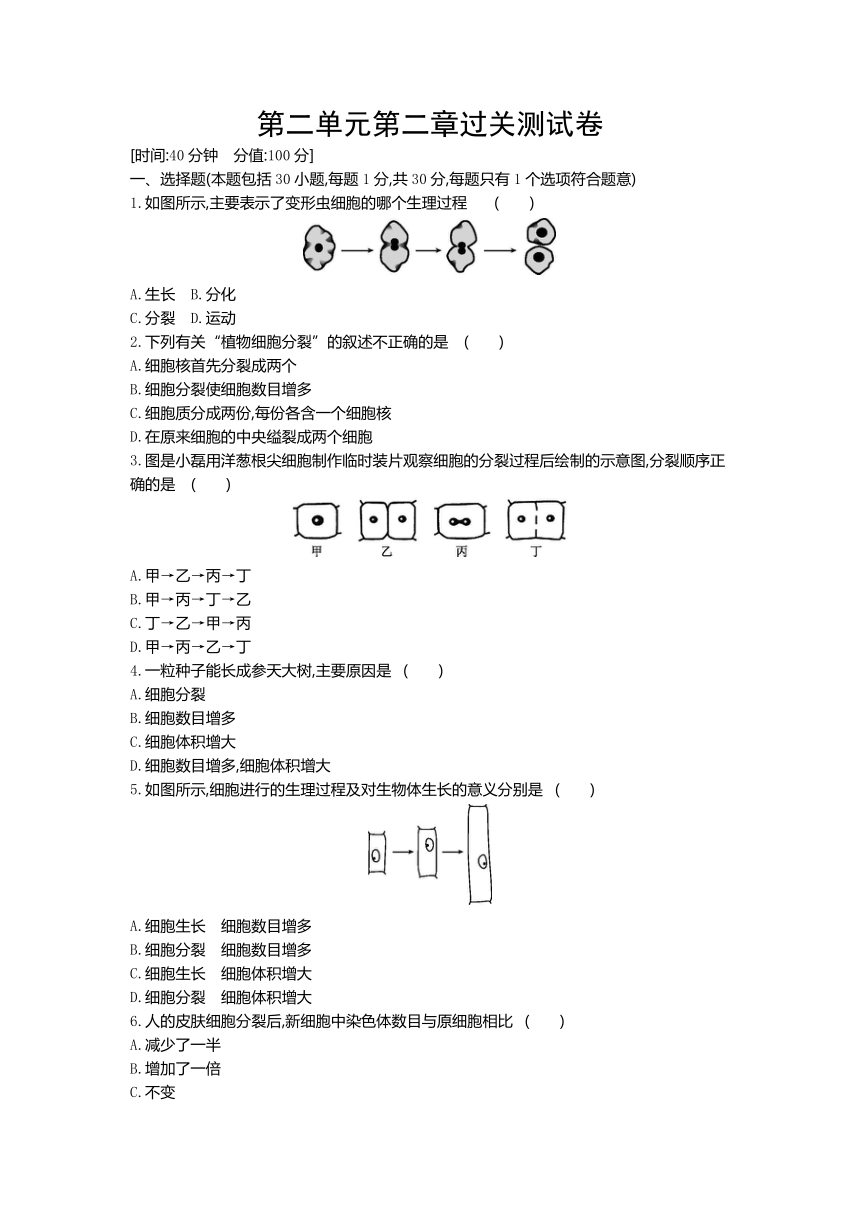 人教版生物七年级上册阶段综合练习：第二单元第二章过关测试卷(word版含答案）