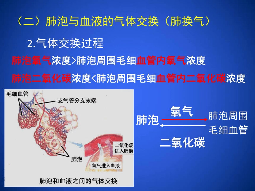 2020--2021学年北师大版生物七年级下册4.10.2. 人体细胞获取氧气的过程课件（第3课时）（39张ppt）