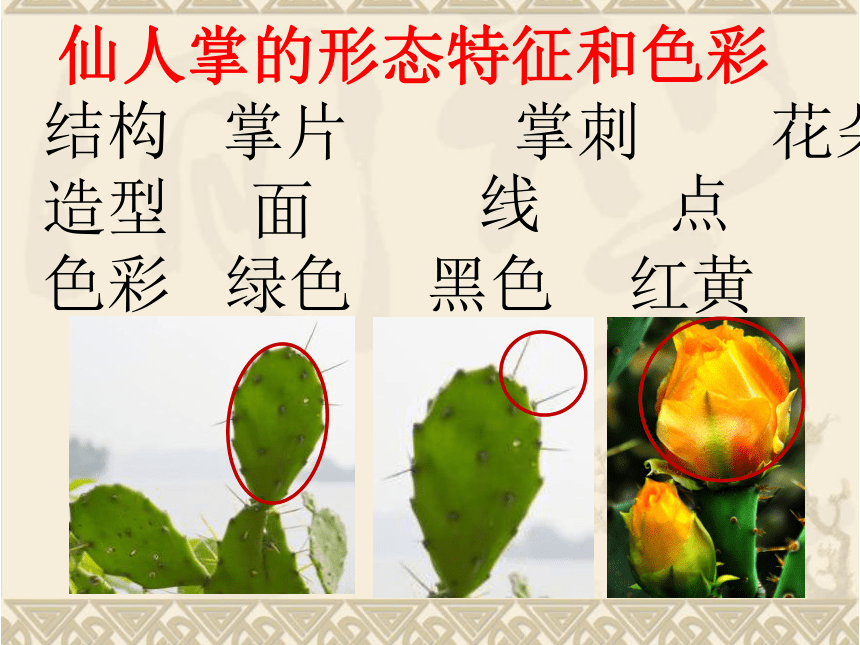 5.14  奇特的热带植物——仙人掌国画 课件 （34张PPT）