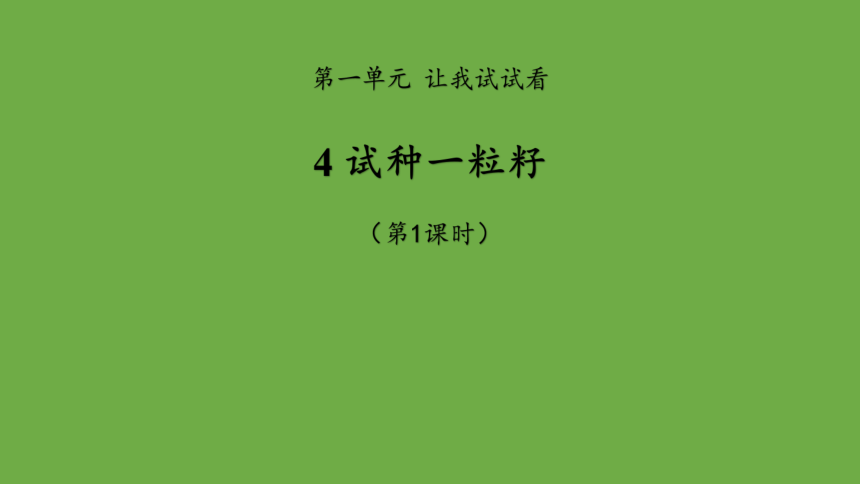 二年级下册1.4《试种一粒籽》  第1课时  课件 （共16张PPT）