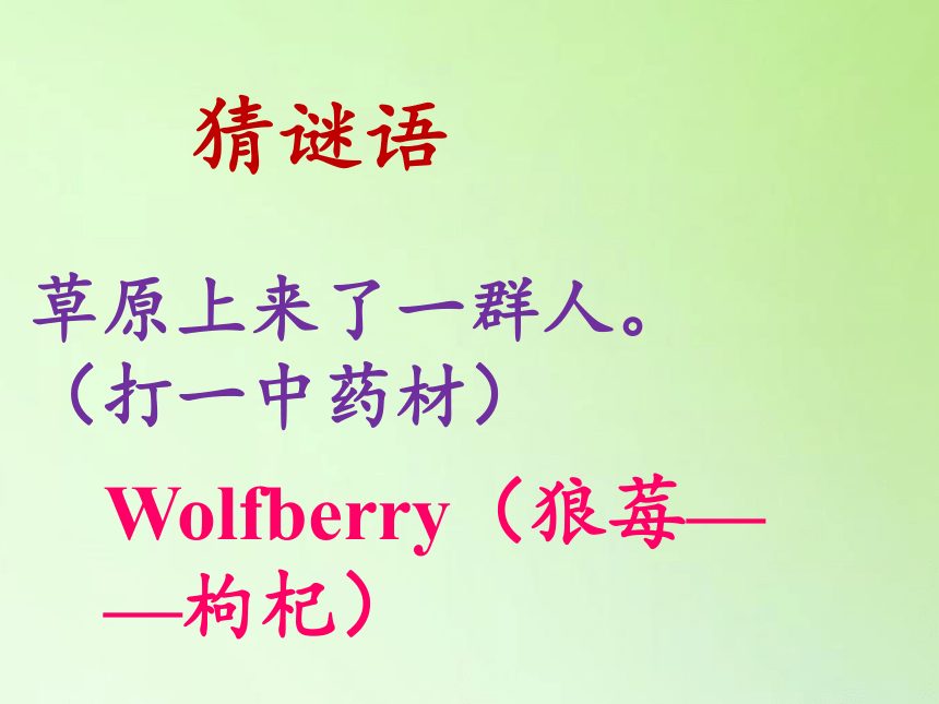 苏教版六年级科学下册教学课件4.4 生态平衡(共47张PPT)